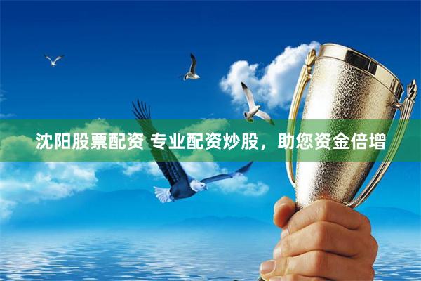沈阳股票配资 专业配资炒股，助您资金倍增