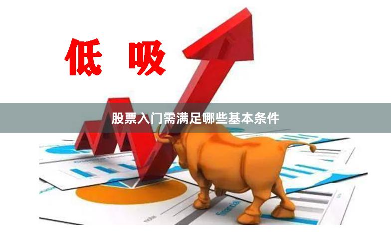 股票入门需满足哪些基本条件